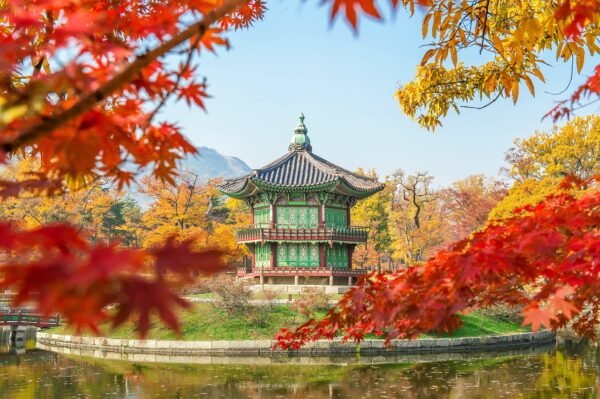 Super COREA 10 Dias